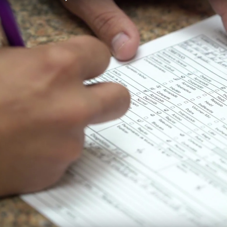 Medicina Conductual Camuy Health Services